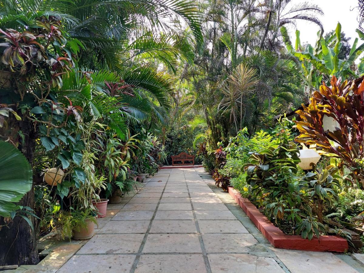 Palm Grove Cottages - Leisure Resort บีนอลิม ภายนอก รูปภาพ