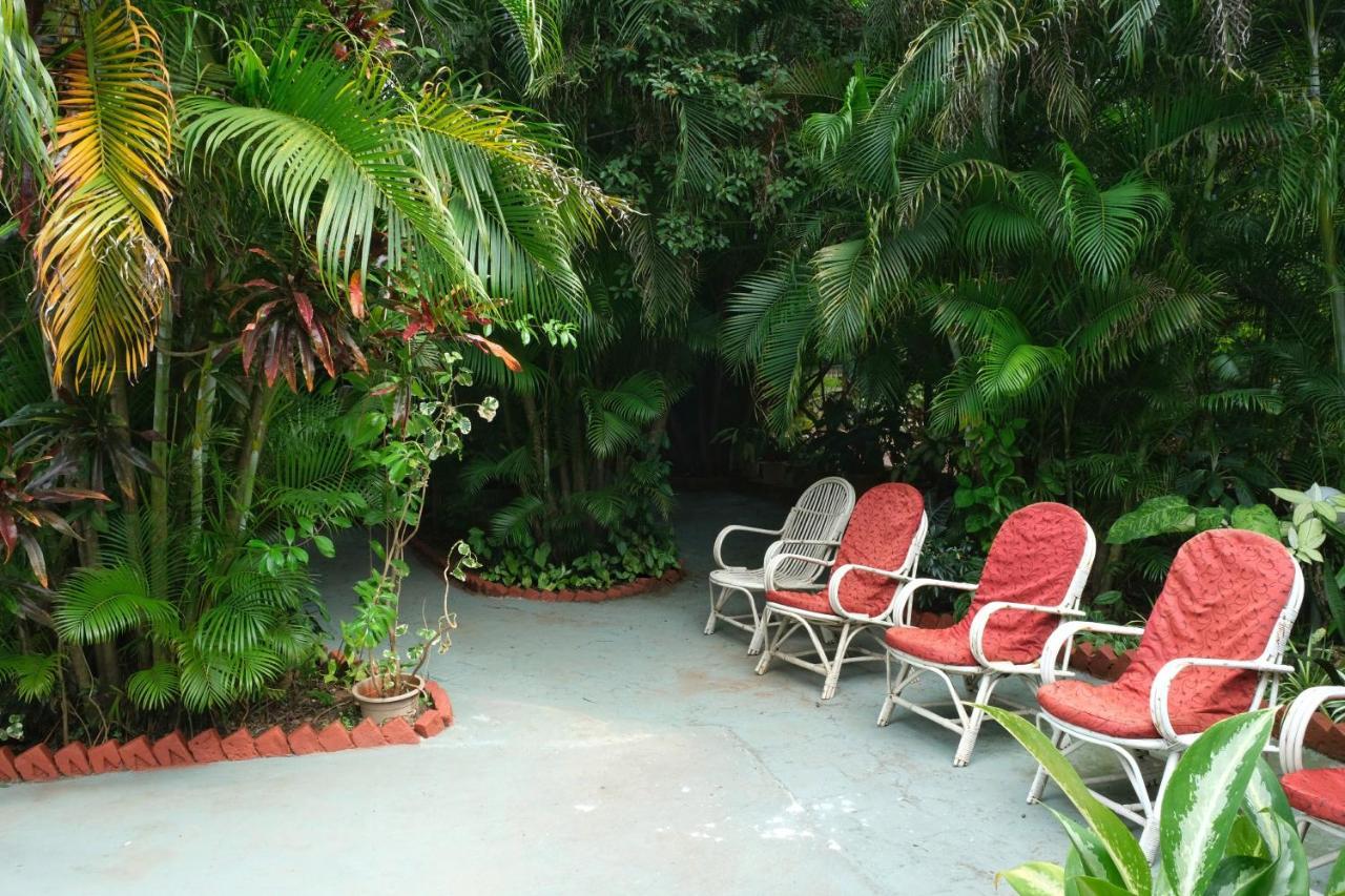 Palm Grove Cottages - Leisure Resort บีนอลิม ภายนอก รูปภาพ