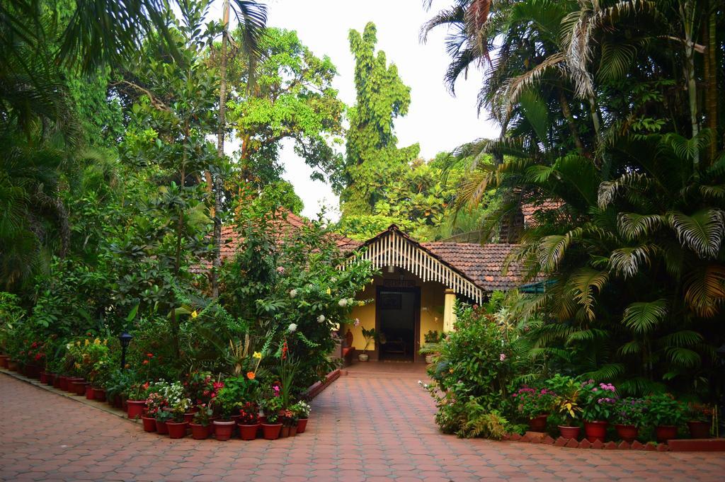 Palm Grove Cottages - Leisure Resort บีนอลิม ภายนอก รูปภาพ
