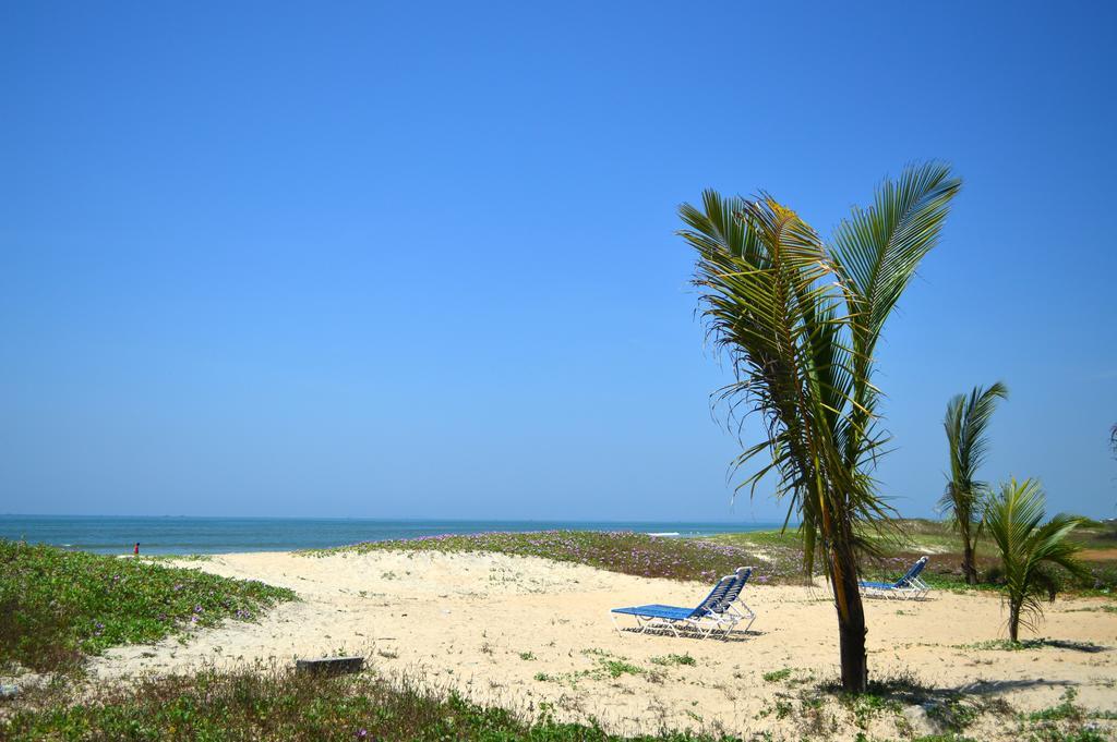 Palm Grove Cottages - Leisure Resort บีนอลิม ภายนอก รูปภาพ